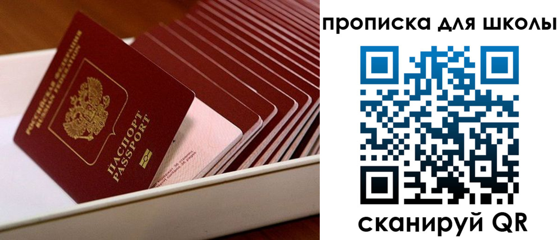 временная регистрация гарантия в Брянской области